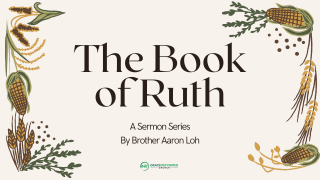 The Book of Ruth series graphic