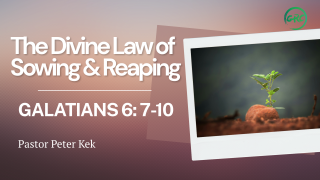The Divine Law Of Sowing & Reaping sermon graphic 320x180
