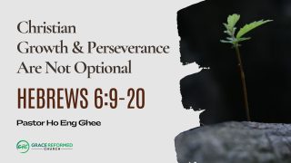 Christian Growth & Perseverance Are Not Optional (Hebrews 6:9-20)
