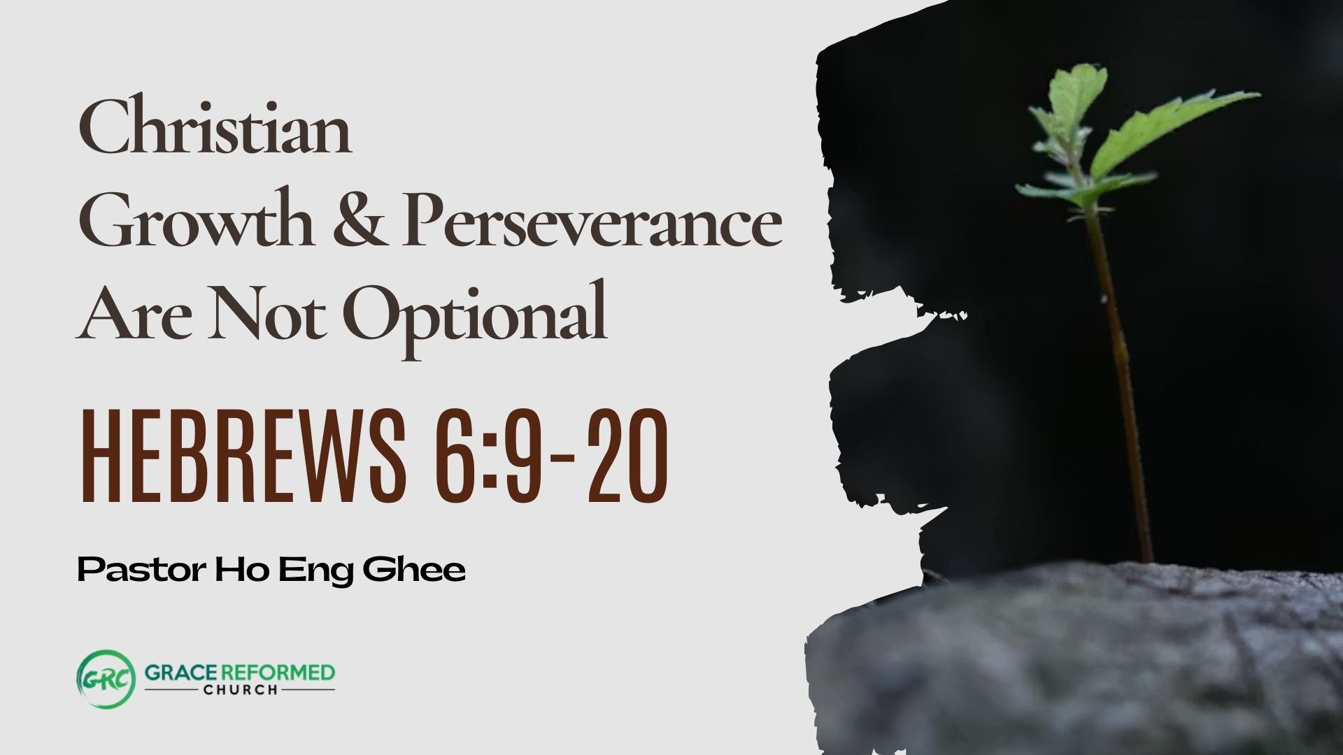 Christian Growth & Perseverance Are Not Optional 