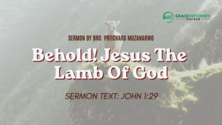 Behold! Jesus The Lamb Of God sermon graphic